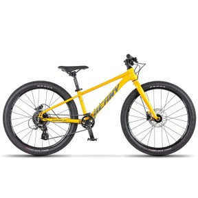 Beany Blaster XC 20 Kids Bike