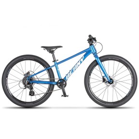Beany Blaster XC 24 Kids Bike