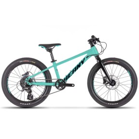 Beany Blaster XC 24 Kids Bike