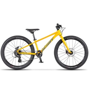Beany Blaster XC 24 Kids Bike